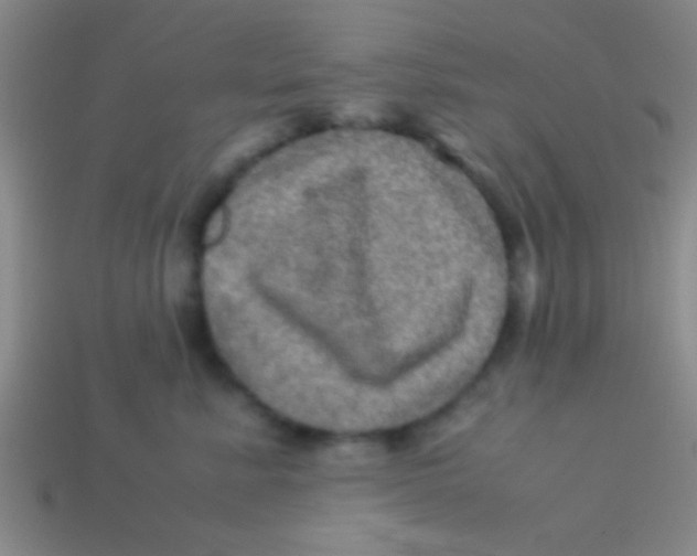 X0000113600619200910161907