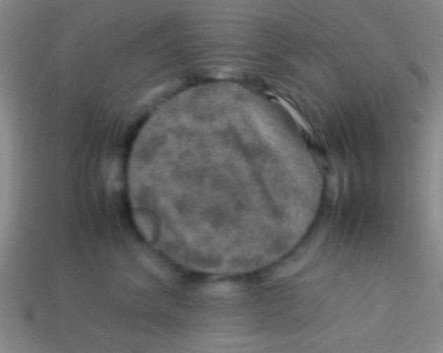 X0000113600620200910161907