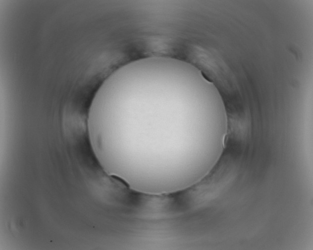 X0000113600621200910161907