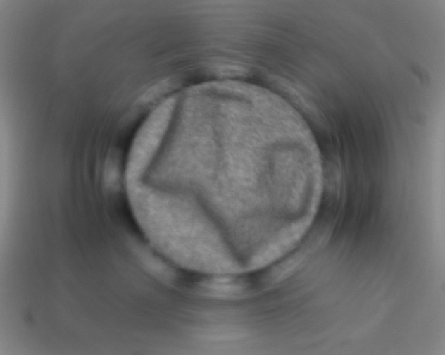 X0000113600622200910161907