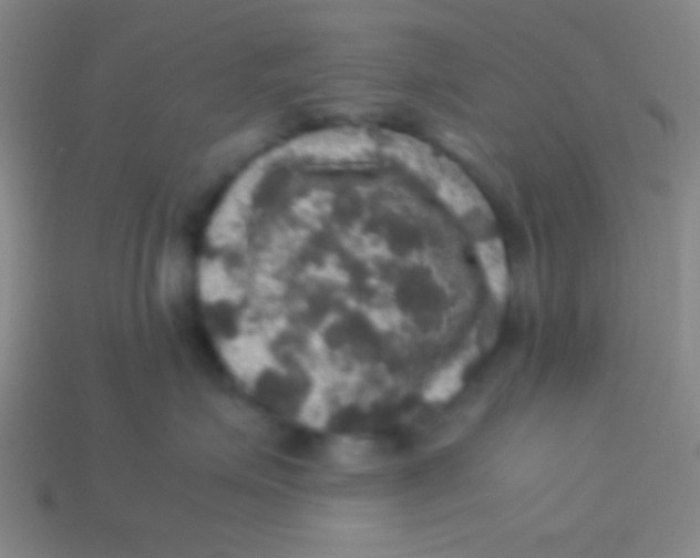 X0000113600623200910161907