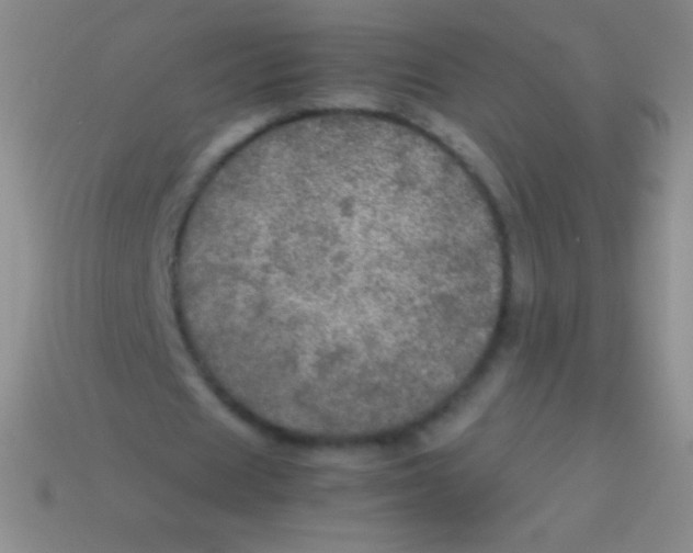 X0000113600625200910161906