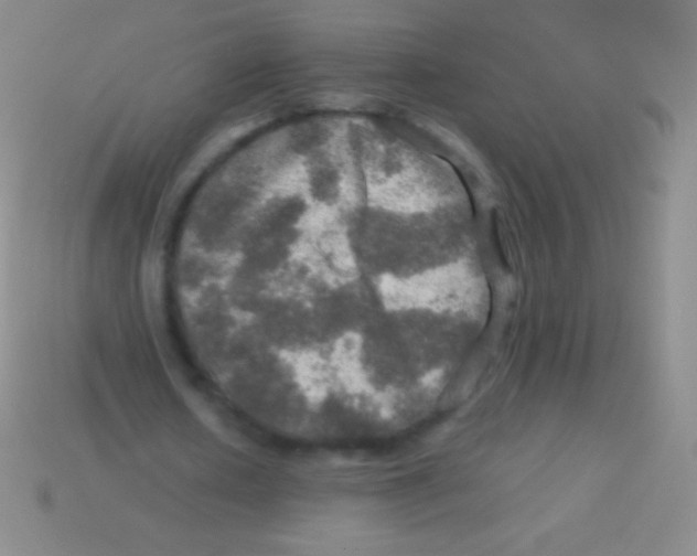 X0000113600626200910161906