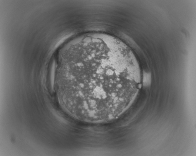 X0000113600627200910161906