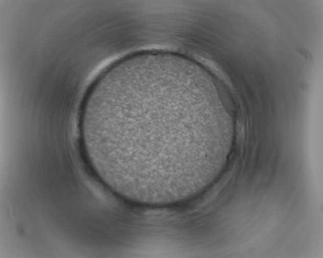 X0000113600628200910161906