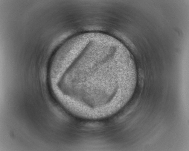 X0000113600631200910161906