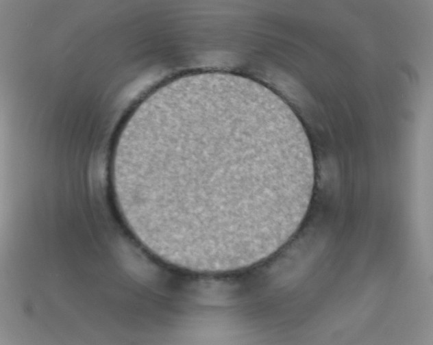 X0000113600632200910161906