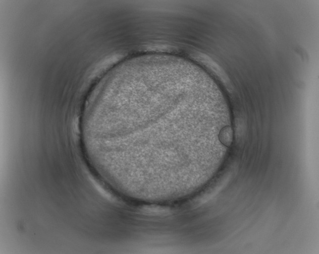 X0000113600633200910161906