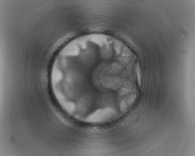 X0000113600634200910161906