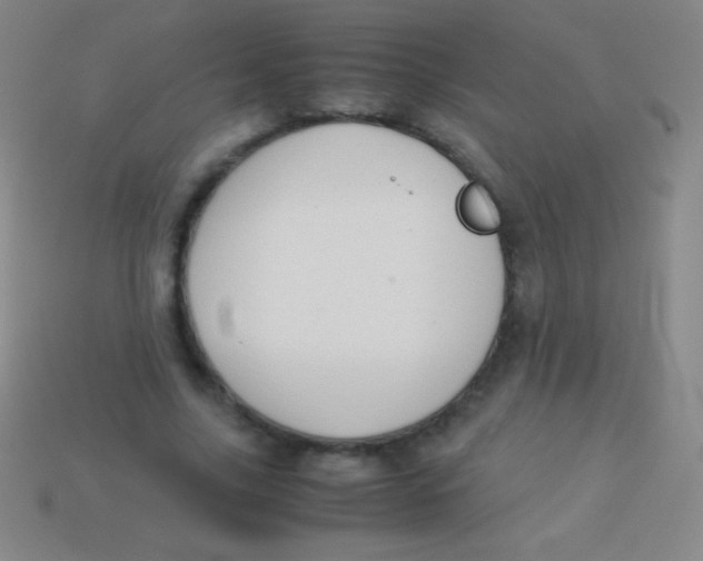 X0000113600635200910161906