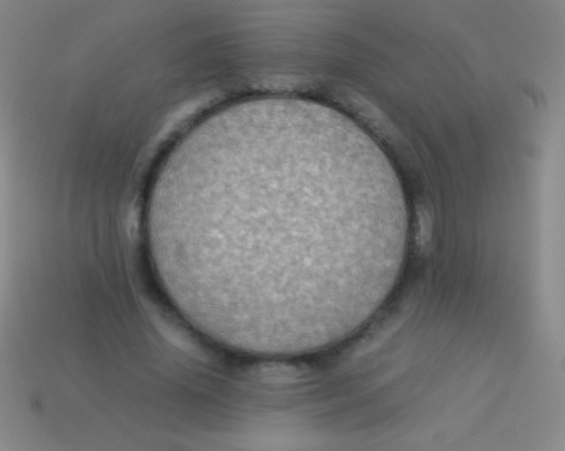 X0000113600636200910161906