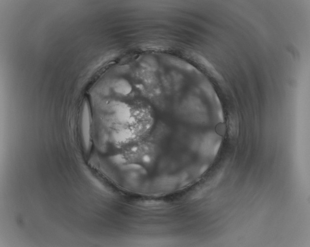 X0000113600637200910161906