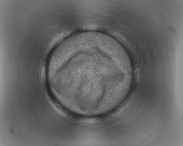 X0000113600638200910161906