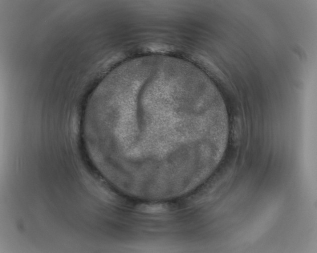 X0000113600639200910161906