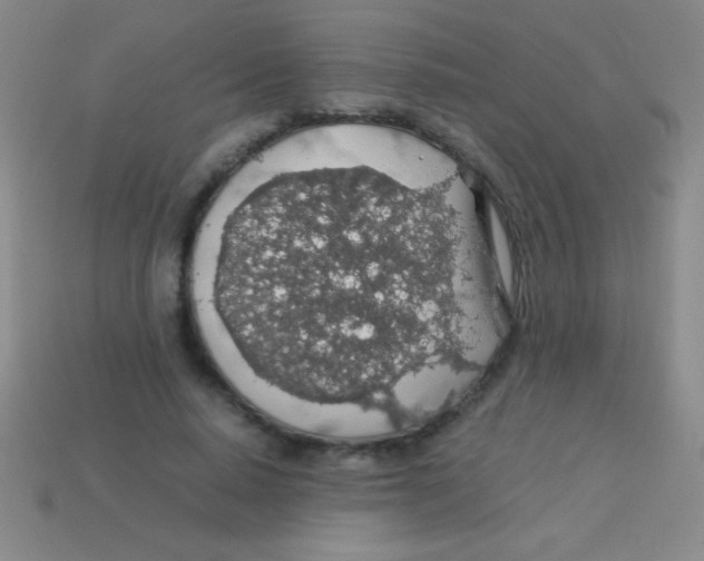 X0000113600640200910161906