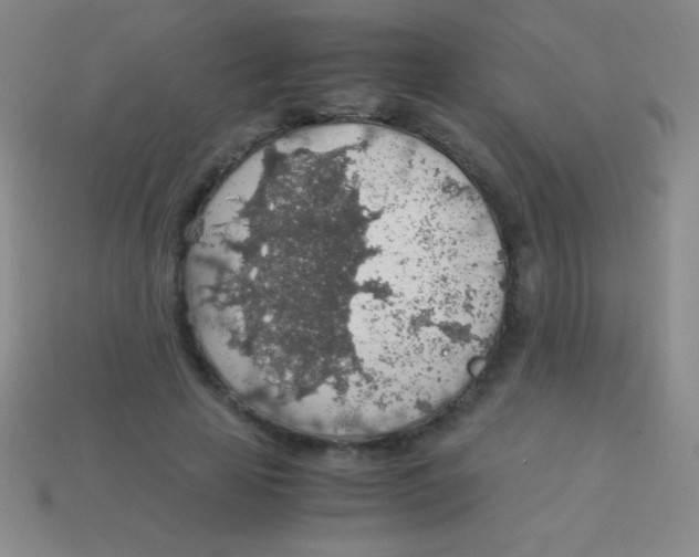 X0000113600641200910161906