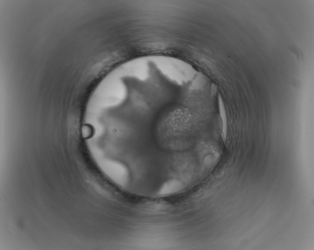 X0000113600642200910161906