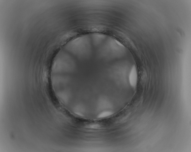 X0000113600643200910161906