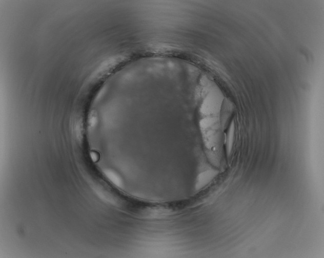 X0000113600644200910161906