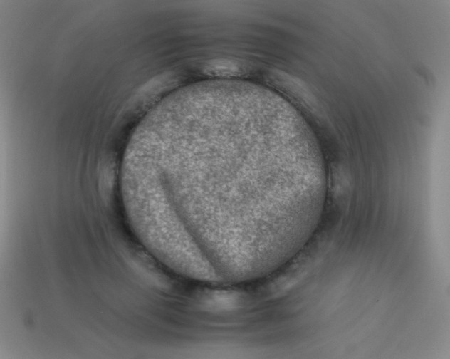 X0000113600645200910161906