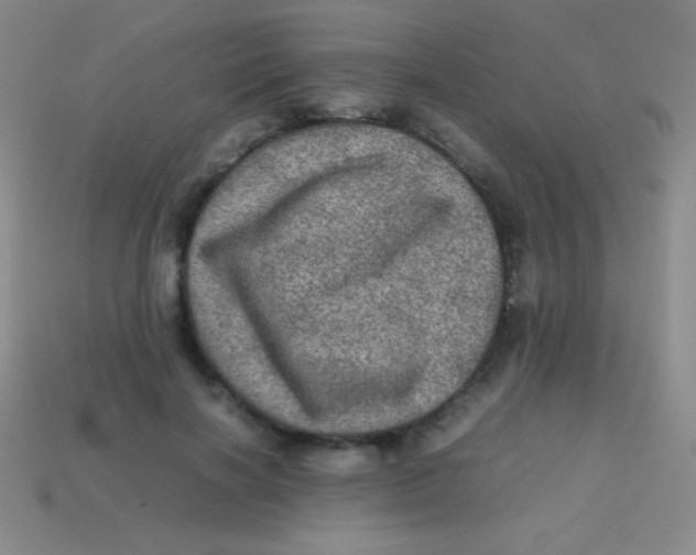 X0000113600646200910161906