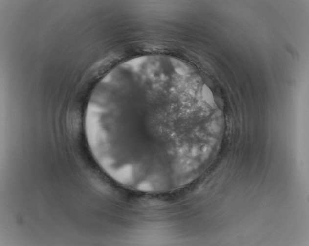 X0000113600648200910161906