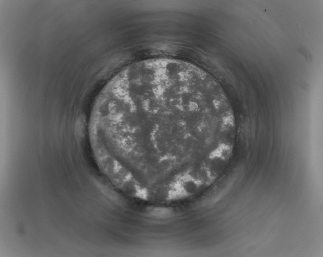 X0000113600649200910161906