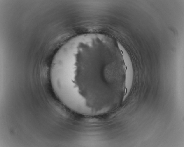 X0000113600650200910161906