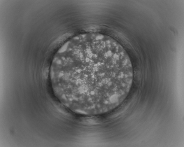 X0000113600652200910161906