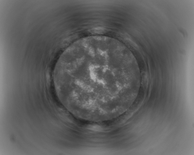 X0000113600655200910161906