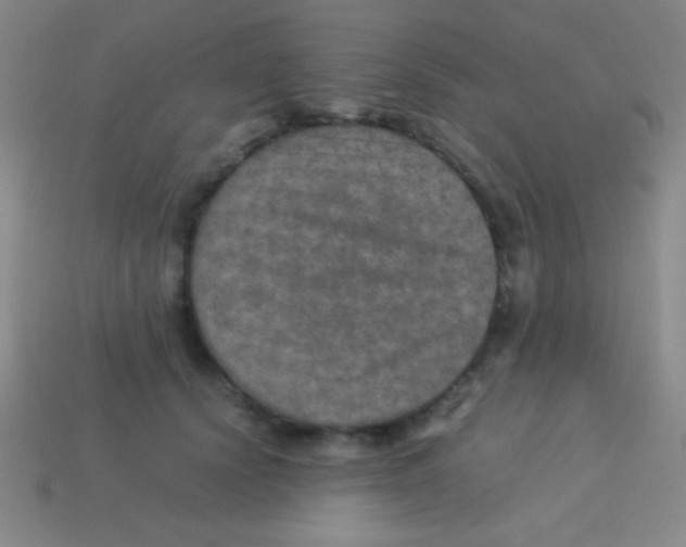 X0000113600656200910161906