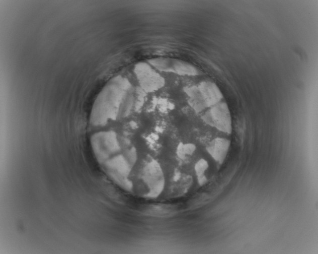 X0000113600657200910161906