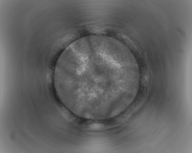 X0000113600658200910161906