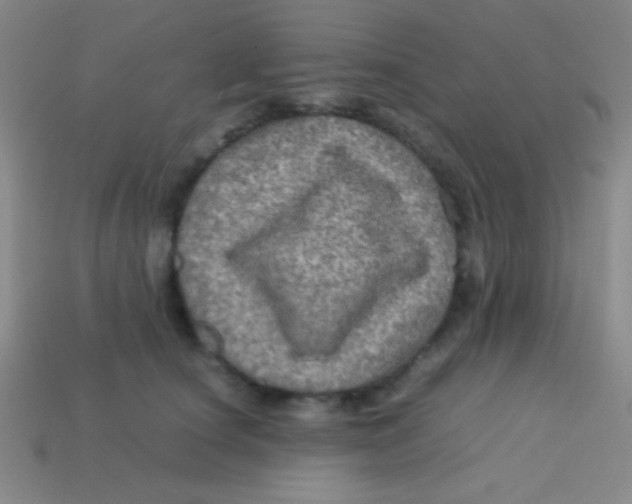 X0000113600660200910161907