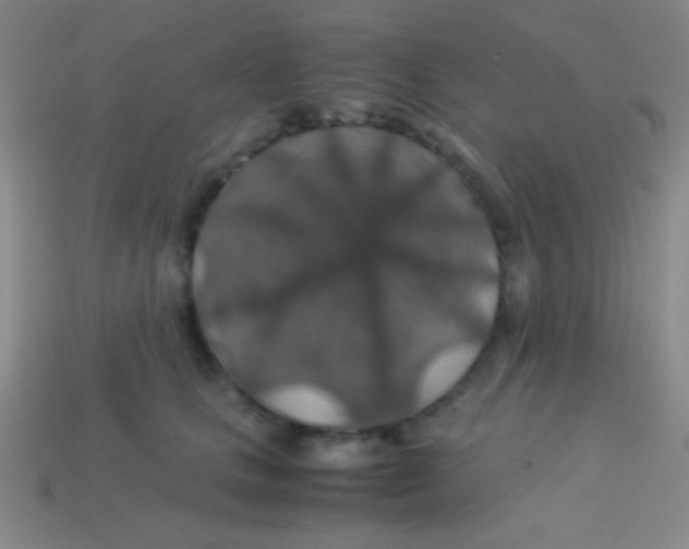 X0000113600661200910161907