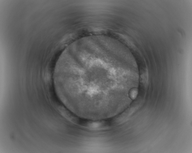 X0000113600662200910161907