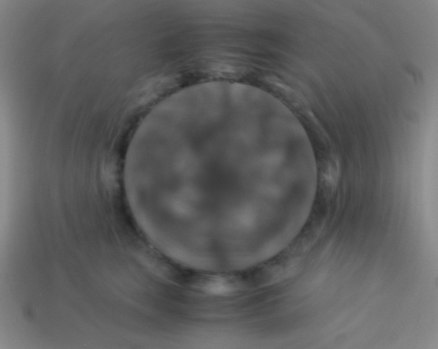 X0000113600663200910161907