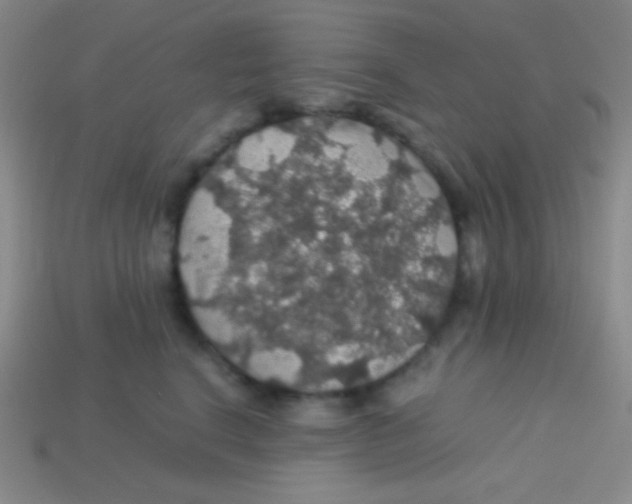 X0000113600664200910161907