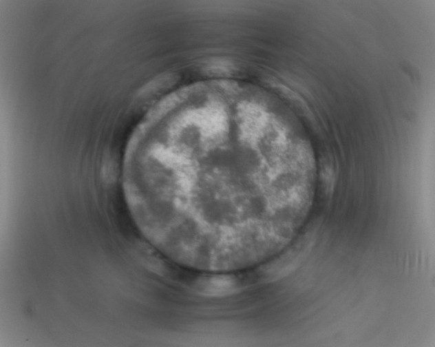 X0000113600665200910161907