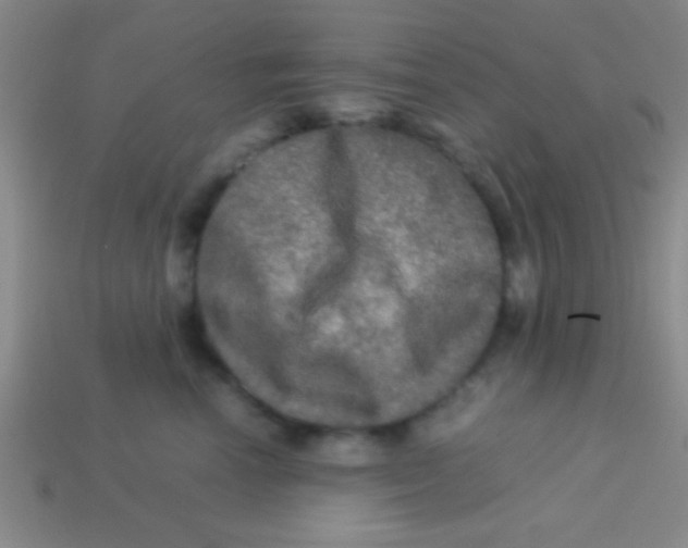 X0000113600666200910161907