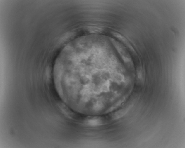 X0000113600667200910161907