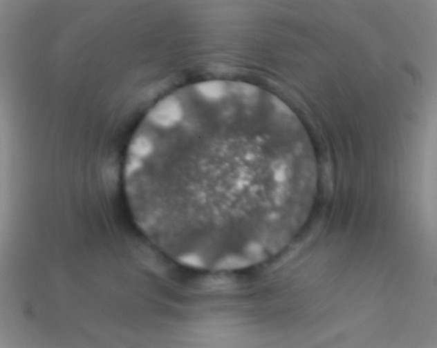 X0000113600668200910161907