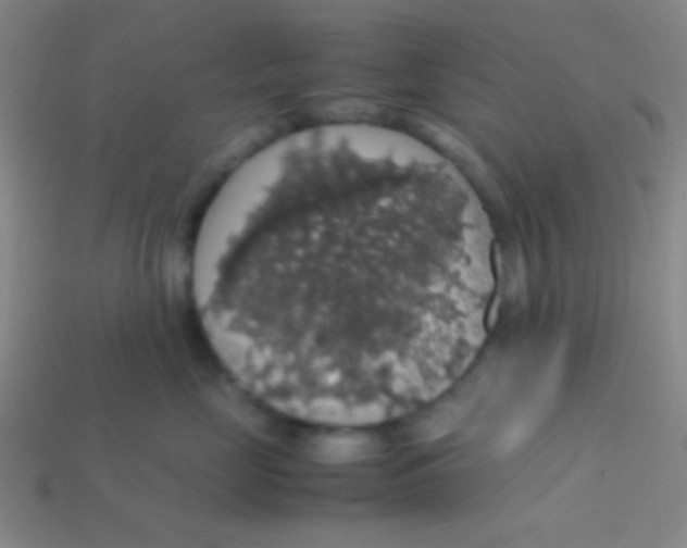 X0000113600669200910161907