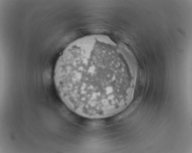 X0000113600670200910161907