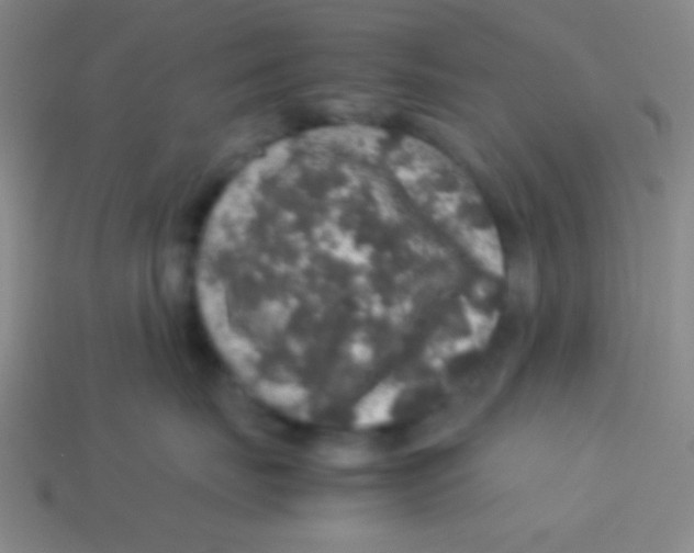 X0000113600671200910161907