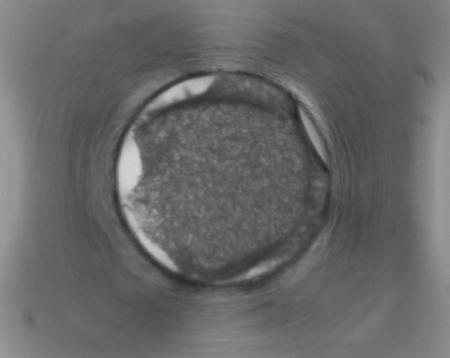 X0000113600673200910161906