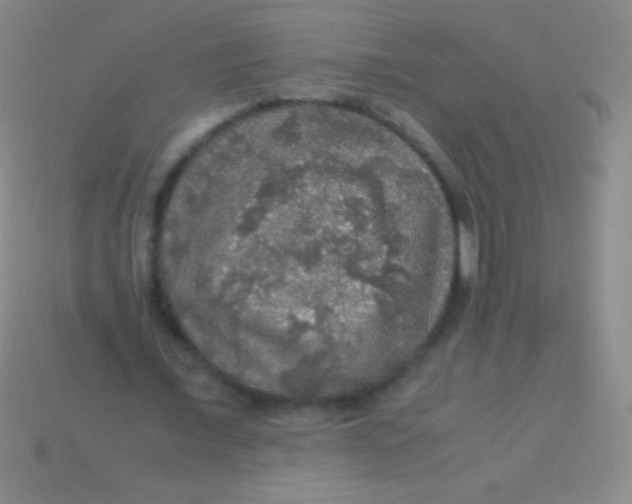 X0000113600675200910161906