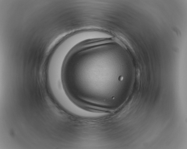 X0000113600676200910161906