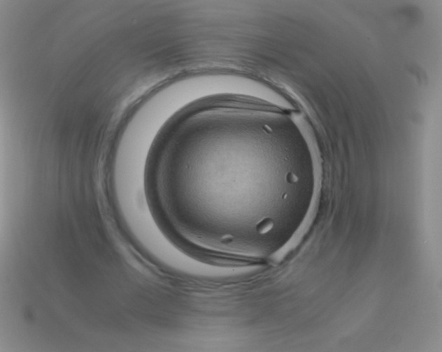 X0000113600677200910161906