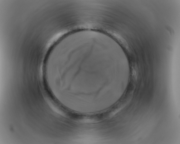 X0000113600678200910161906